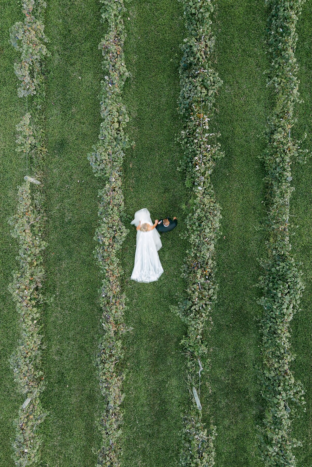 Daniel's Vineyard Wedding Alison Mae Photography_3020