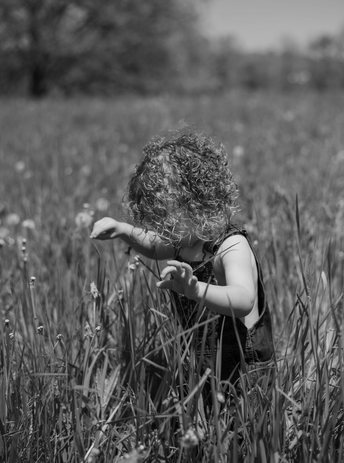 Daisy & Liam_2025_003