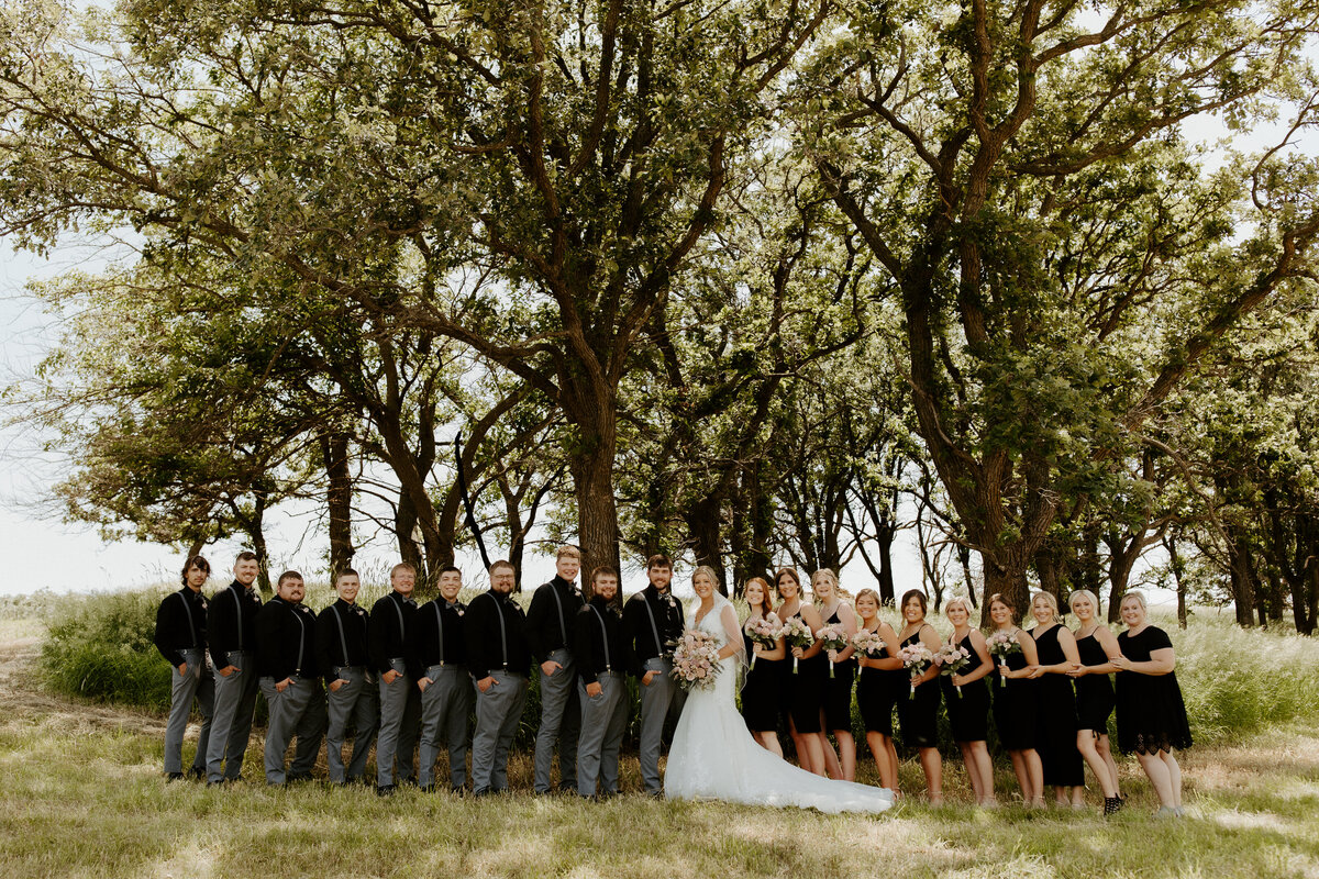Wedding Party-3