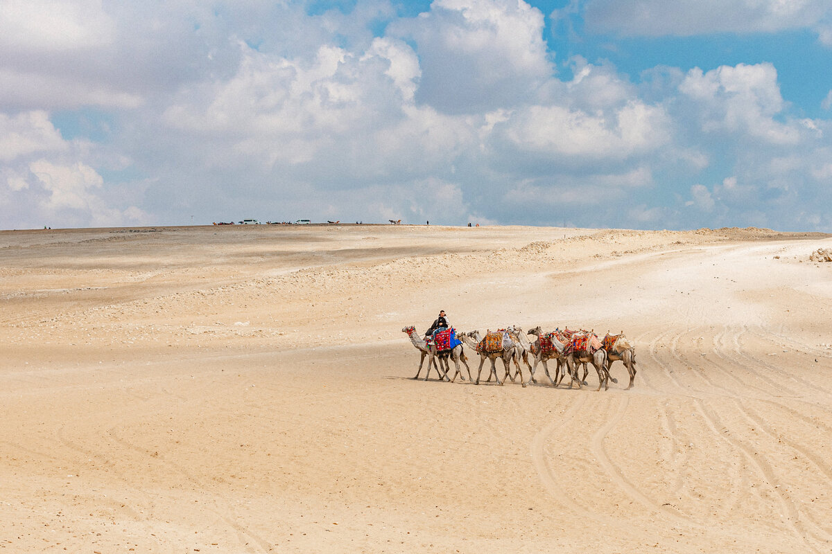 EGYPT-PYRAMIDS-GIZA-CAMELS-088