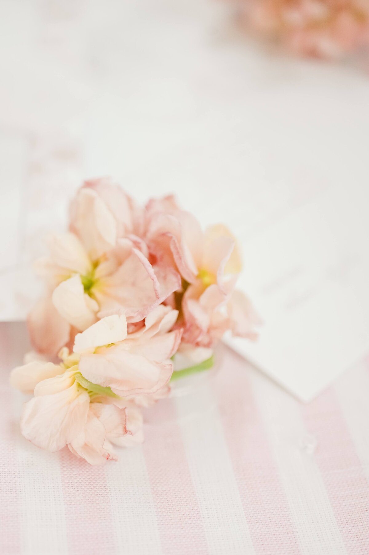 Fort Worth Wedding Photographer _ DFW Photographer Rae De Lain Weddings Light and Airy 0015