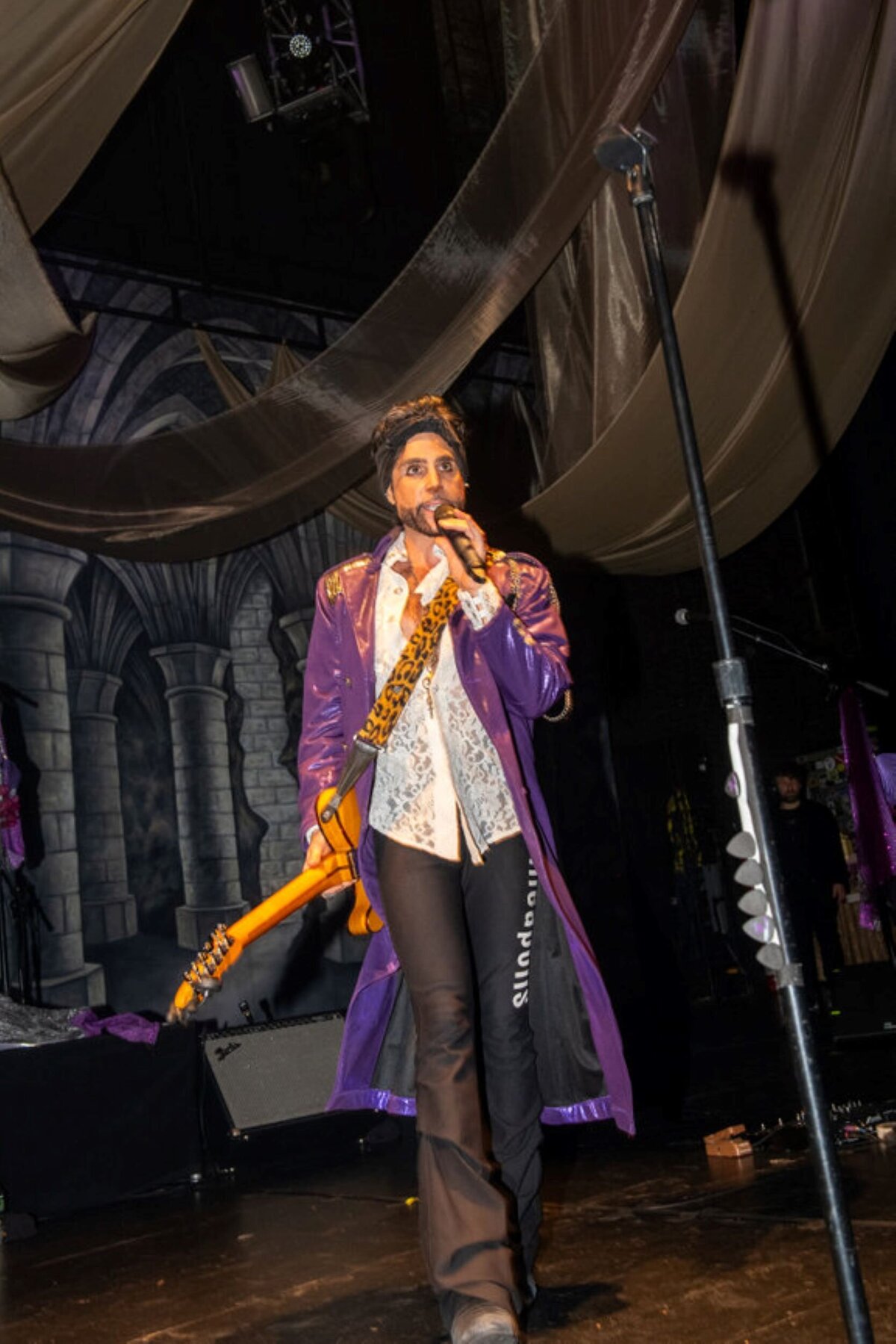 prince-music-entertainer-port-chester-ny