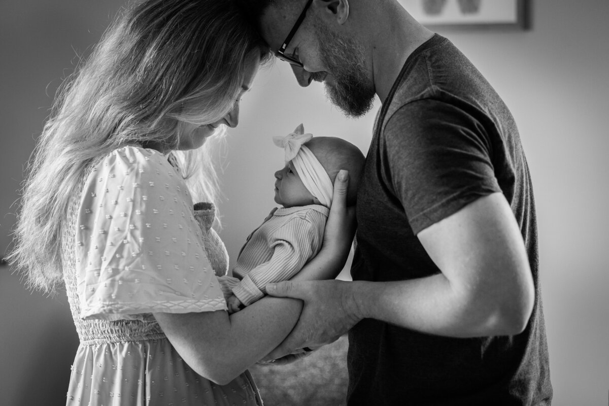 newborn session, alyssa michel photography, love, baby boy, baby girl, rustic, cow print, country, ct photogtspher