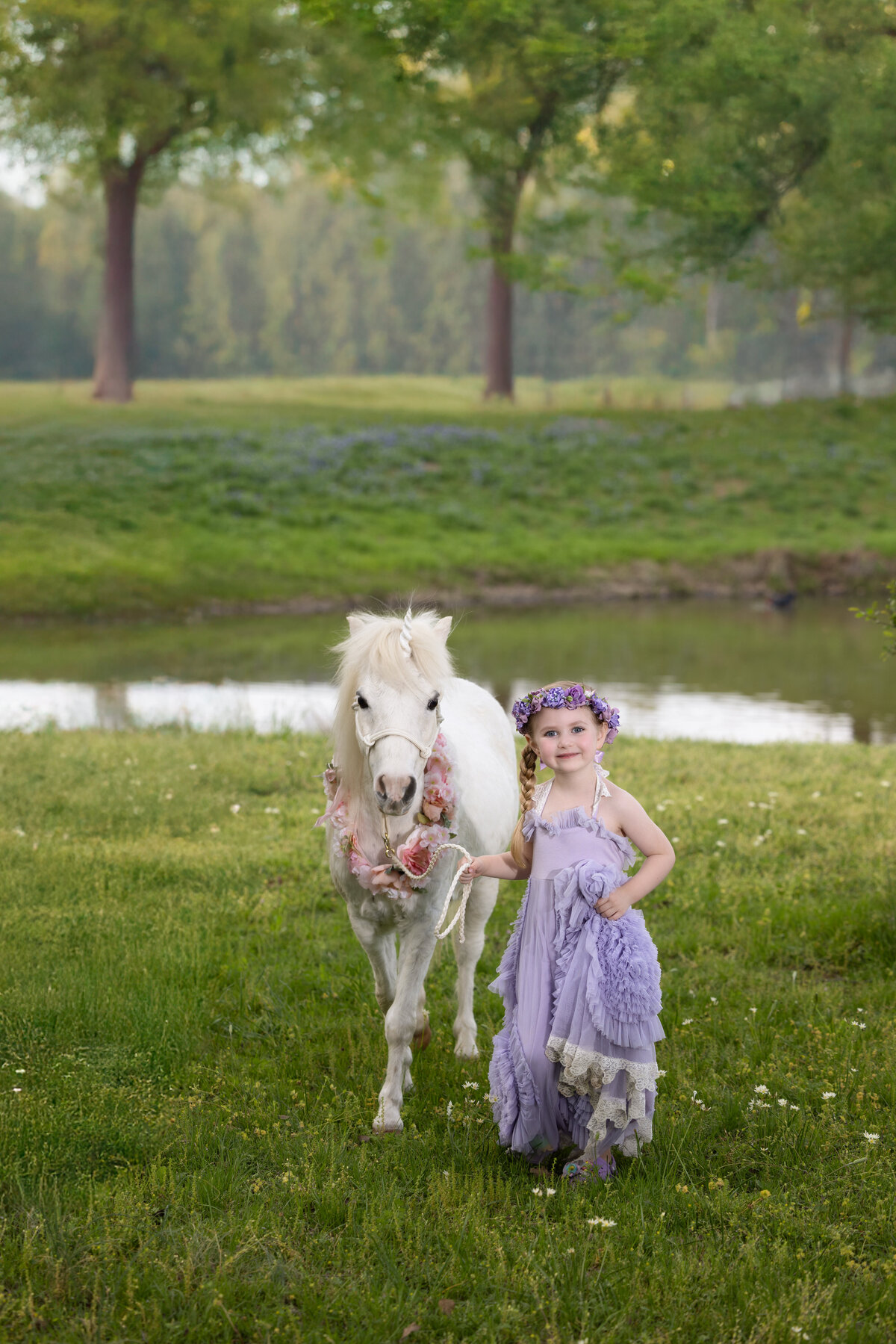 dallas-and-fort-worth-unicorn-portrait-03