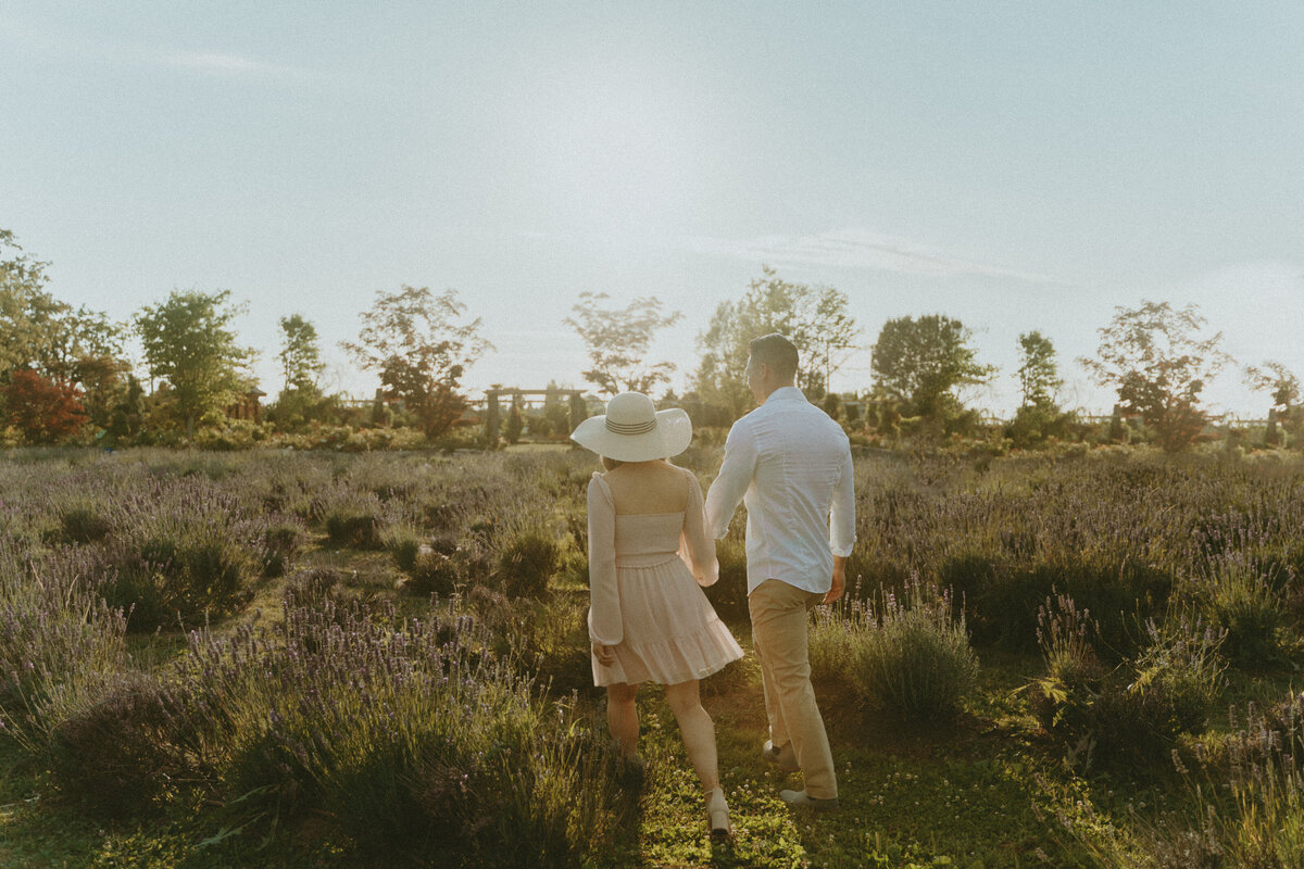 lavender field summertime engagement photo of a guy and girl walking away hand in hand at sunset