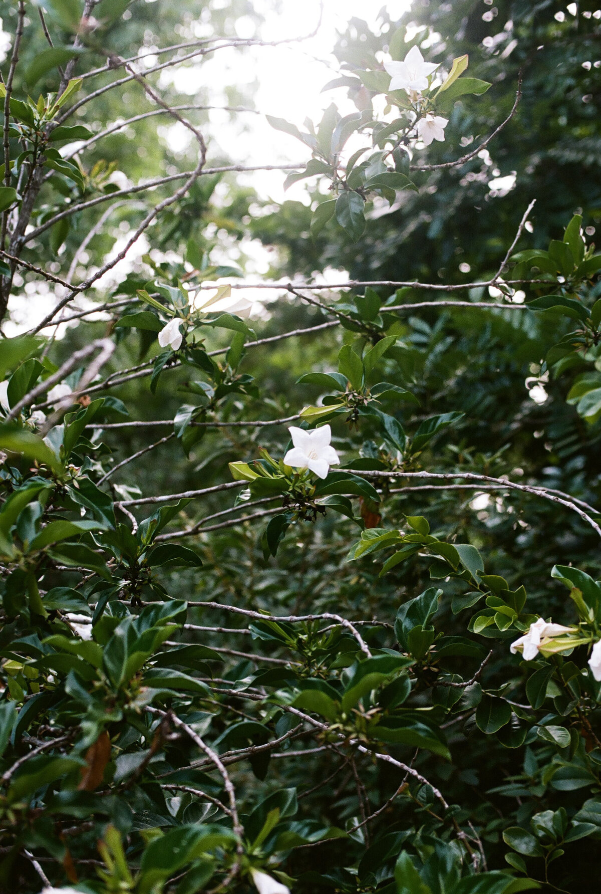 Maddie Briggs Photography-32