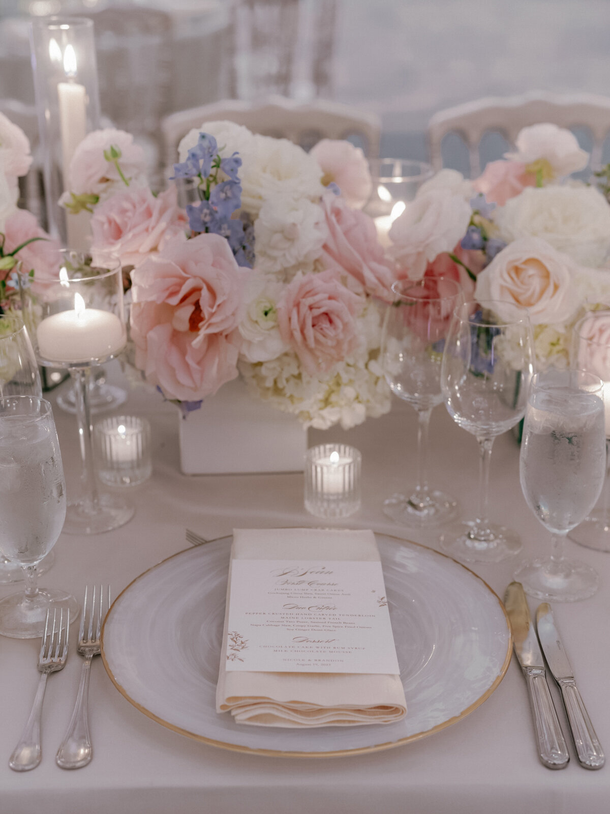 Nicole_Brandon_Wedding_Preview_62