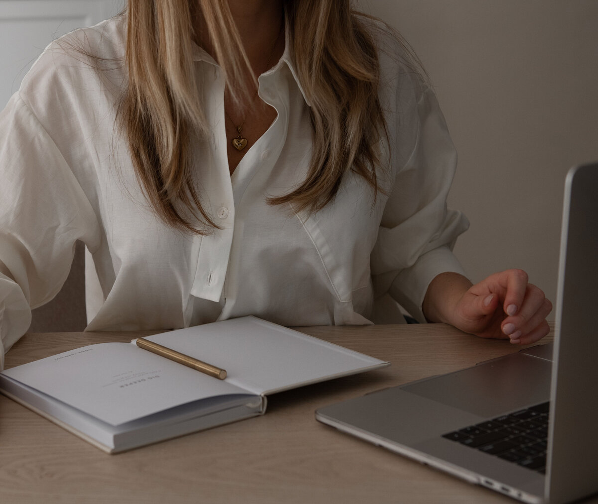 Vistyle stock collection Business Diaries5