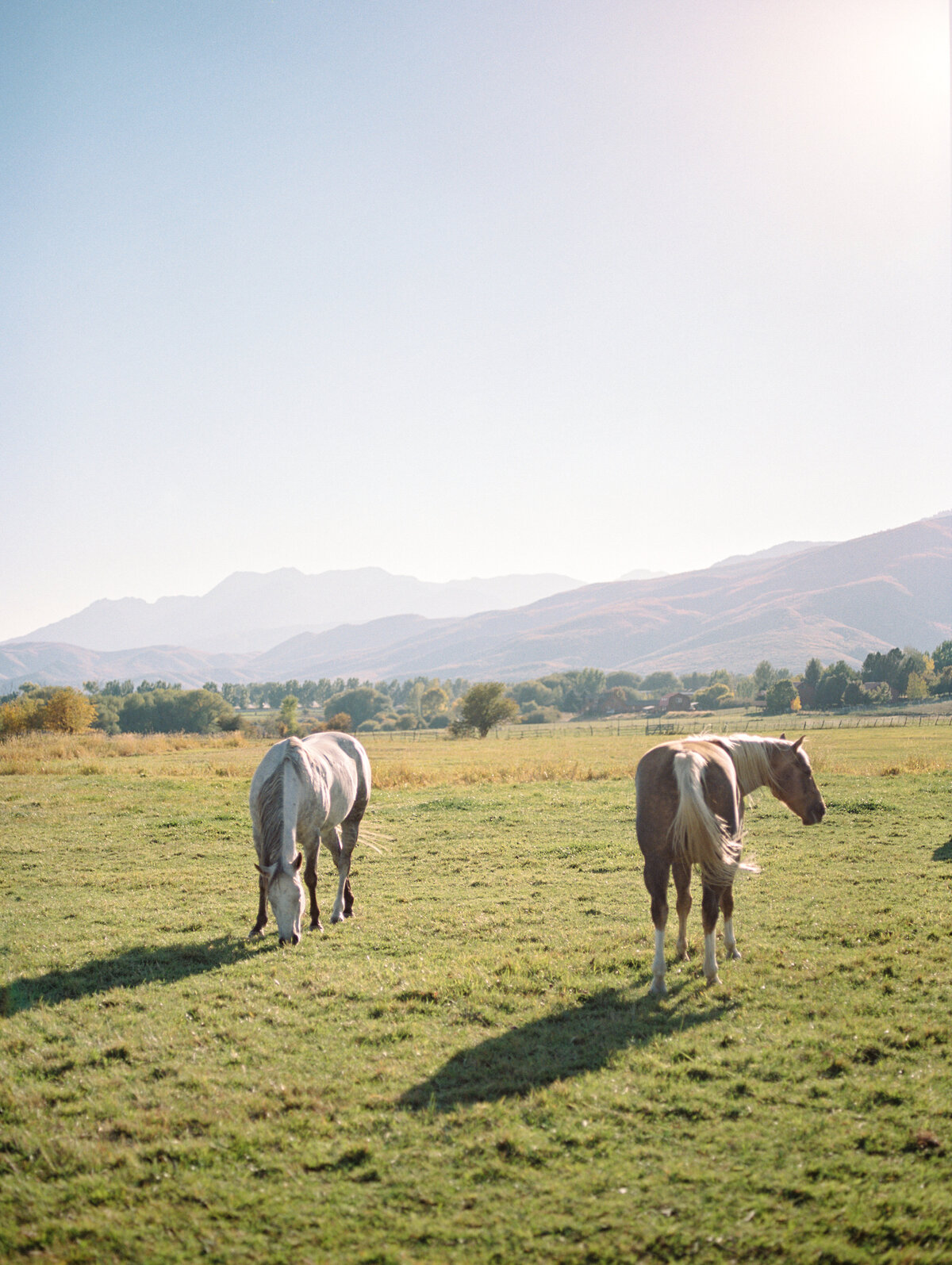 19498CCsmi100711-R22-124-2