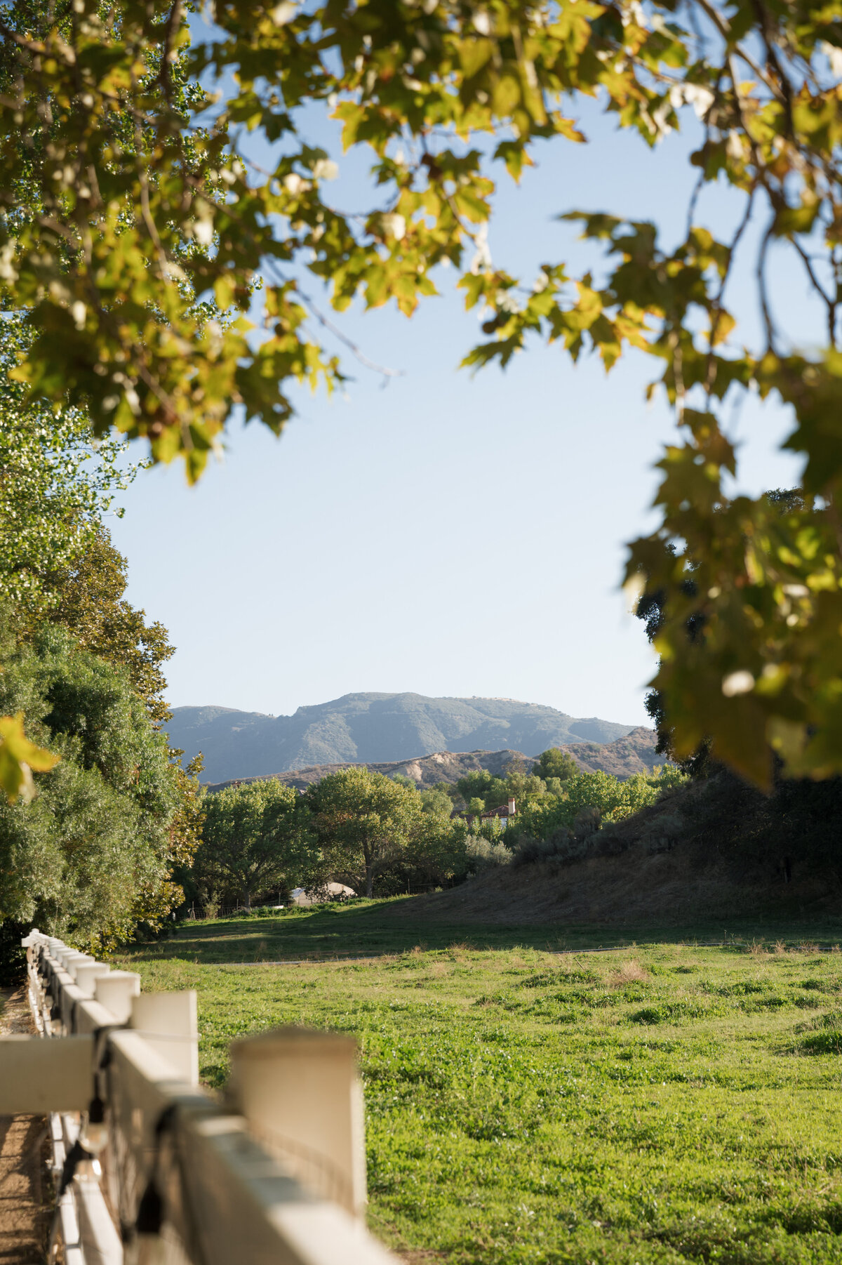 Los_Angeles_wedding_venue_luxury_wedding_planner_top_LA_event_producer_Ojai_wedding_venue_9