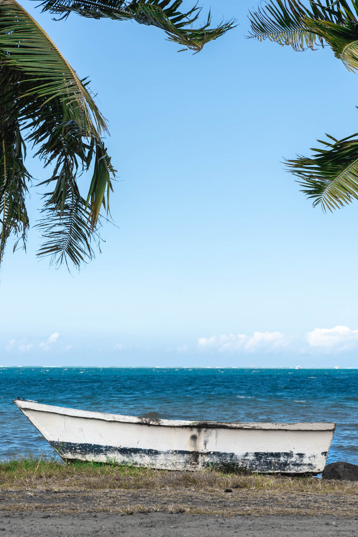 SM-WarmTropics-03070