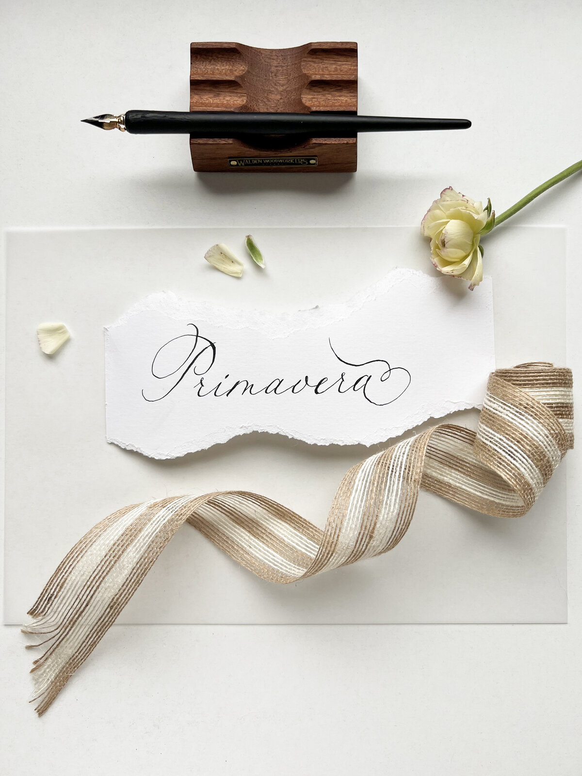 primavera lettering