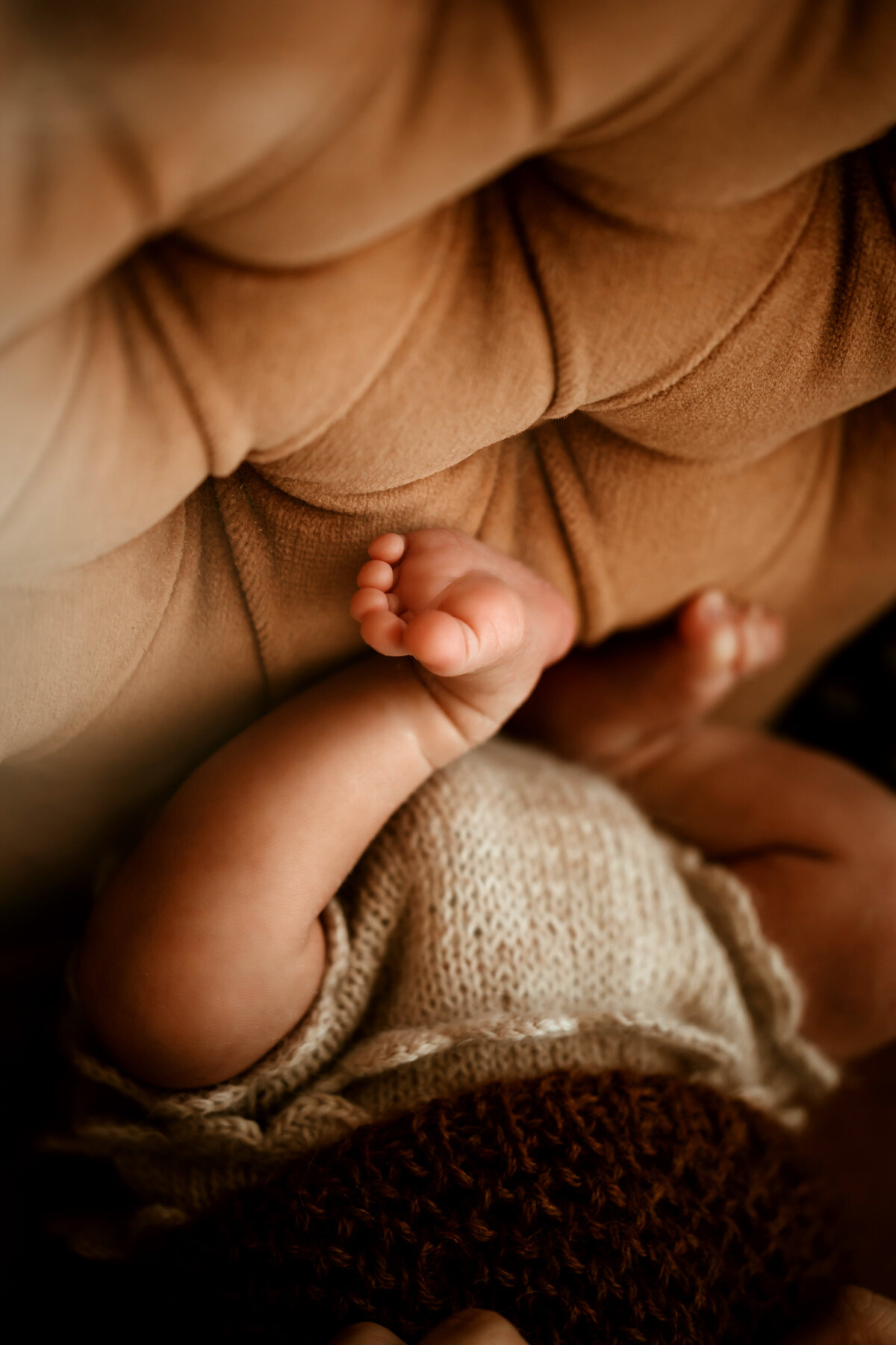 edmonton-newborn-photographer16