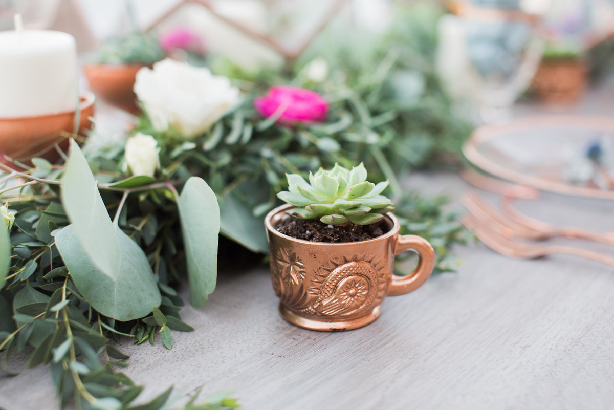 Succulent in Copper Mug