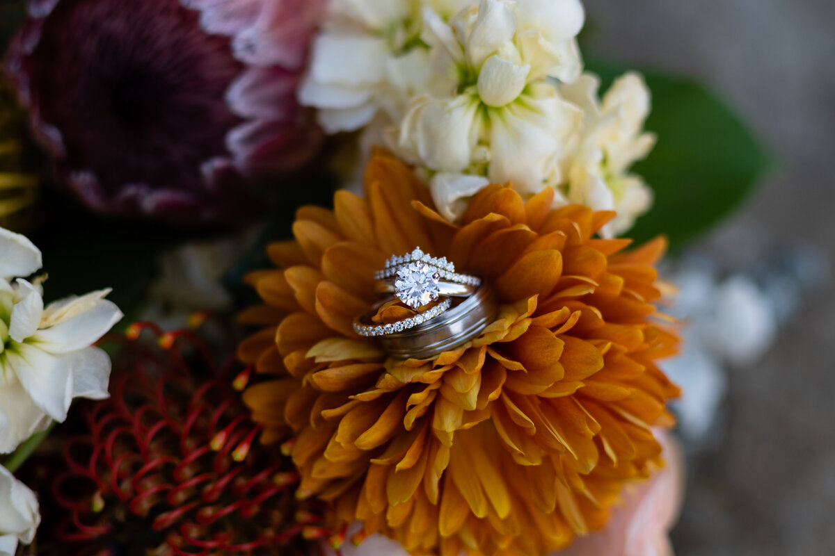 Temecula Wedding Photographer-037-ABS_6245