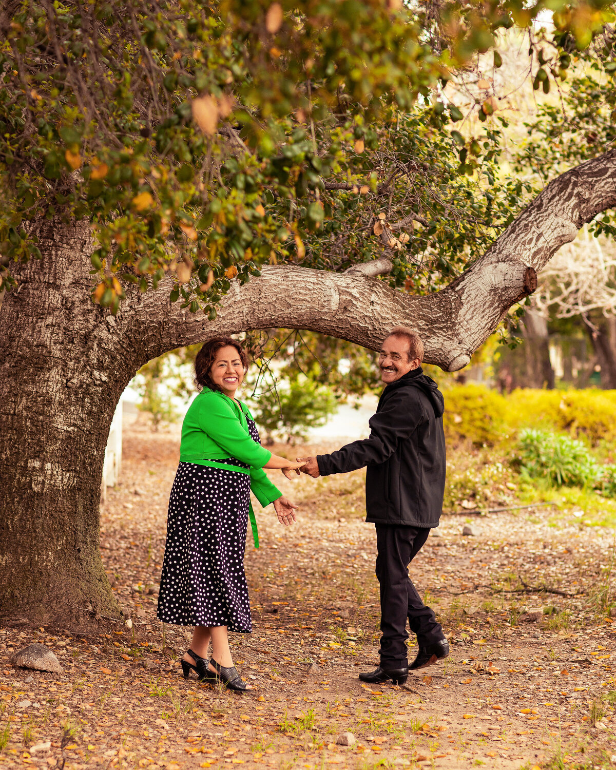 Under Other Tree (9)