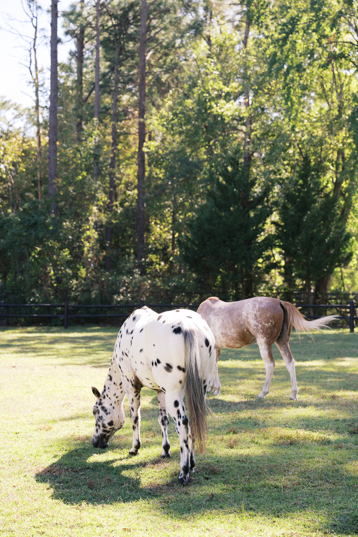 wilmington-nc-wedding-photographer-2