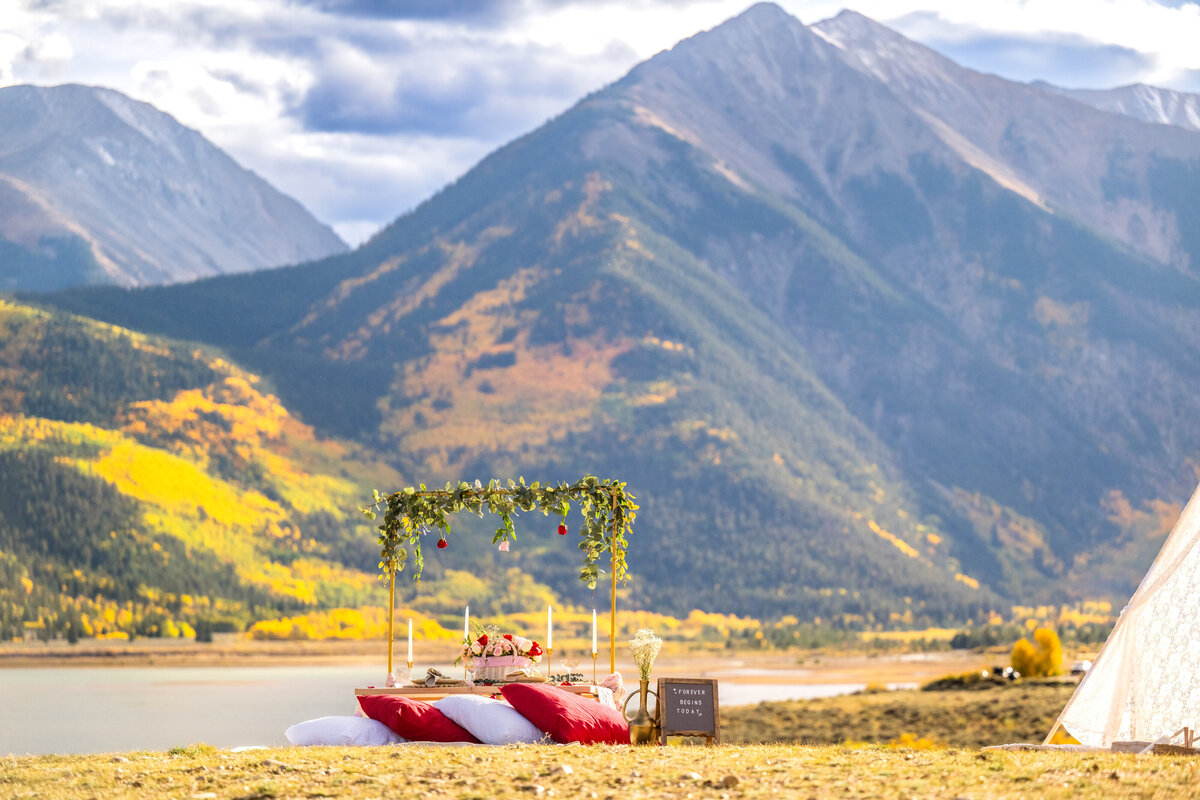 Swati and Anisha Proposal-9