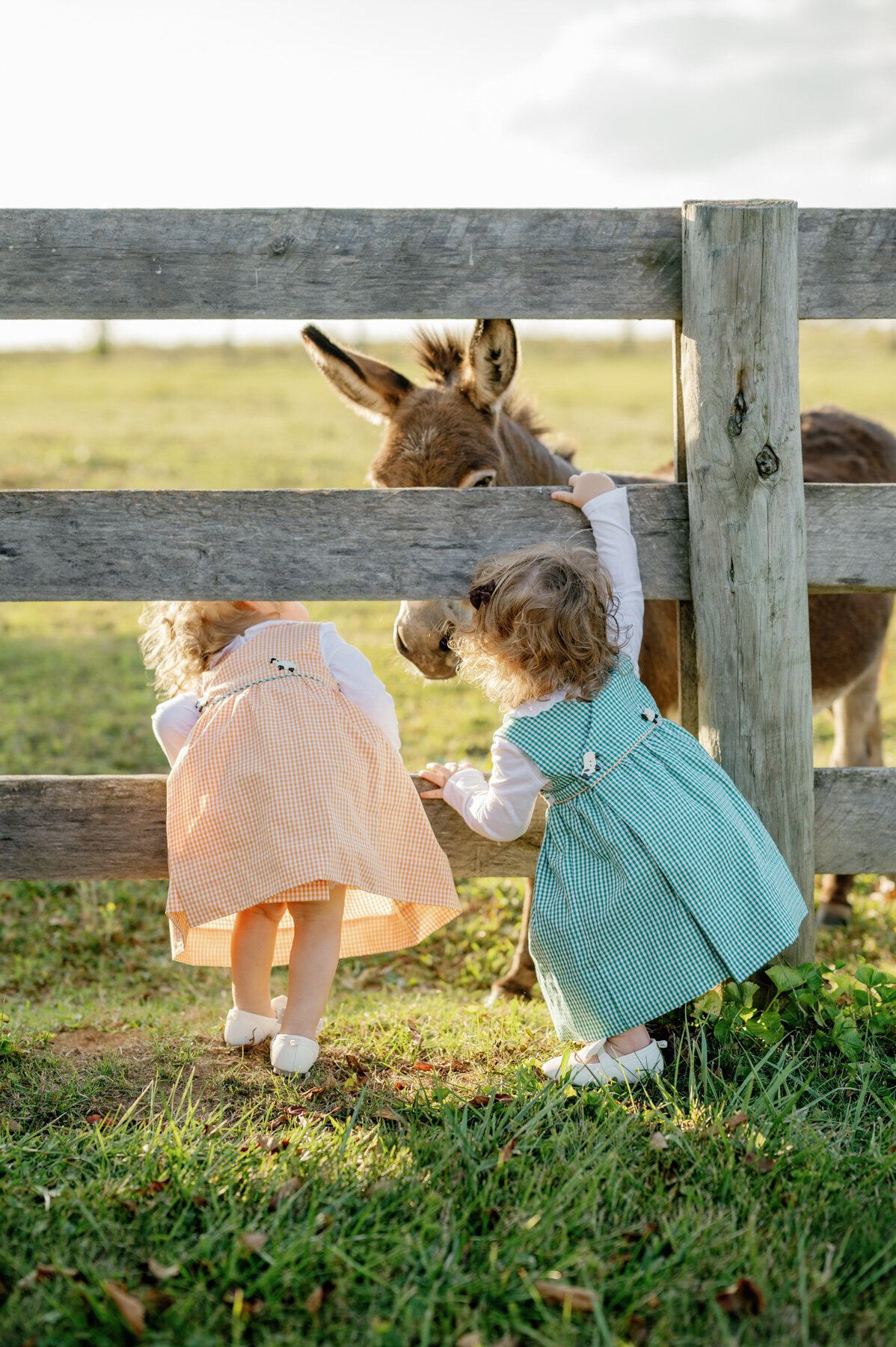 Lexington-KY-Family-Portraits-36