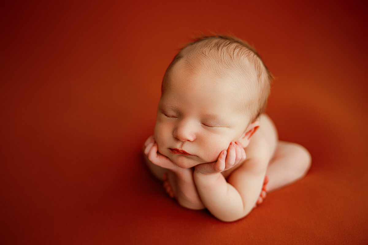 newborn photography north al