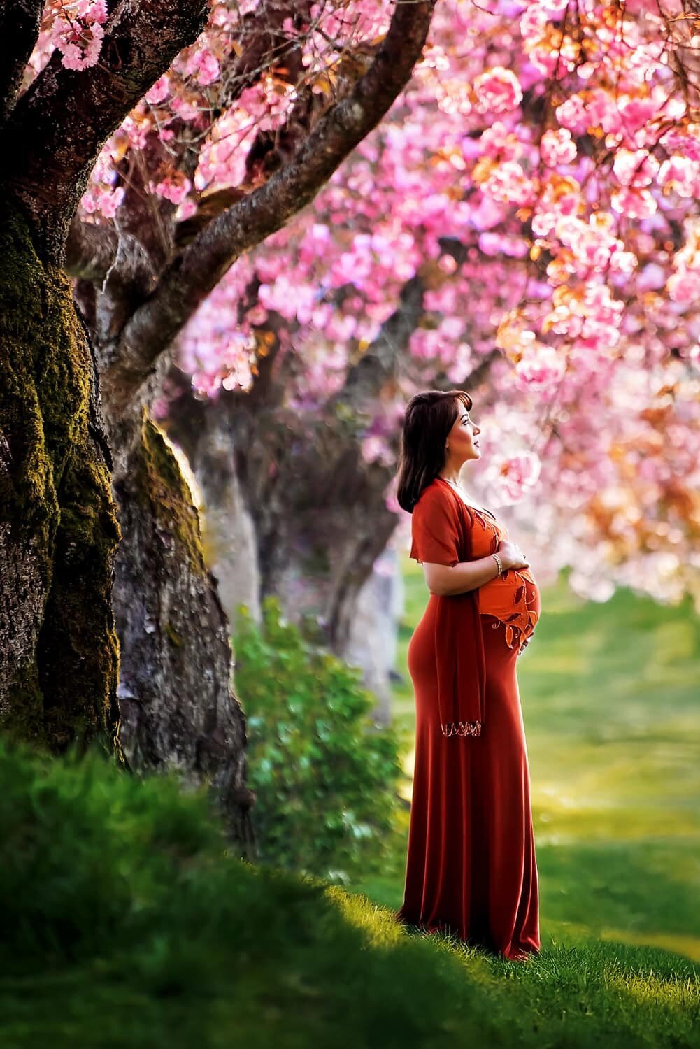 outdoor-maternity-photography_vancouver-fraser-valley_burnaby-cherry-blossoms-sakura-tree-orange-dress
