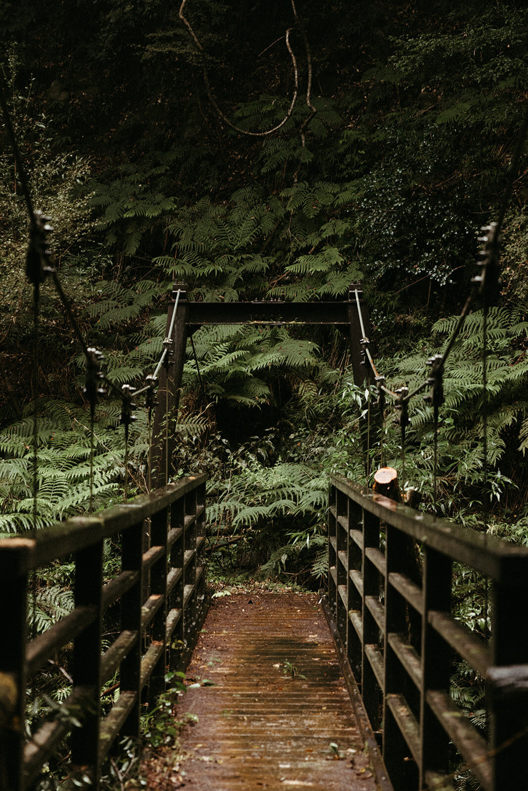 JapanElopement-DallinHazard-435