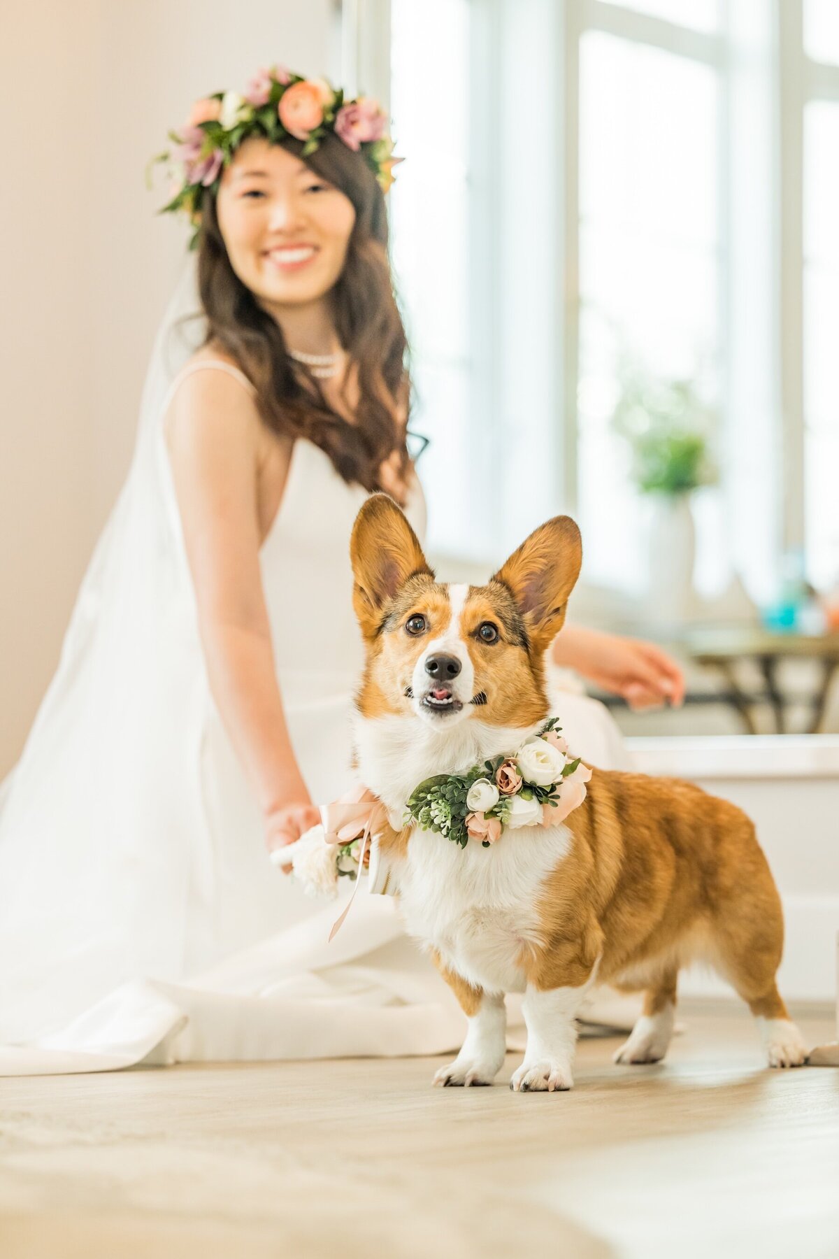 Maui Wedding Photography with bride and her corgi 