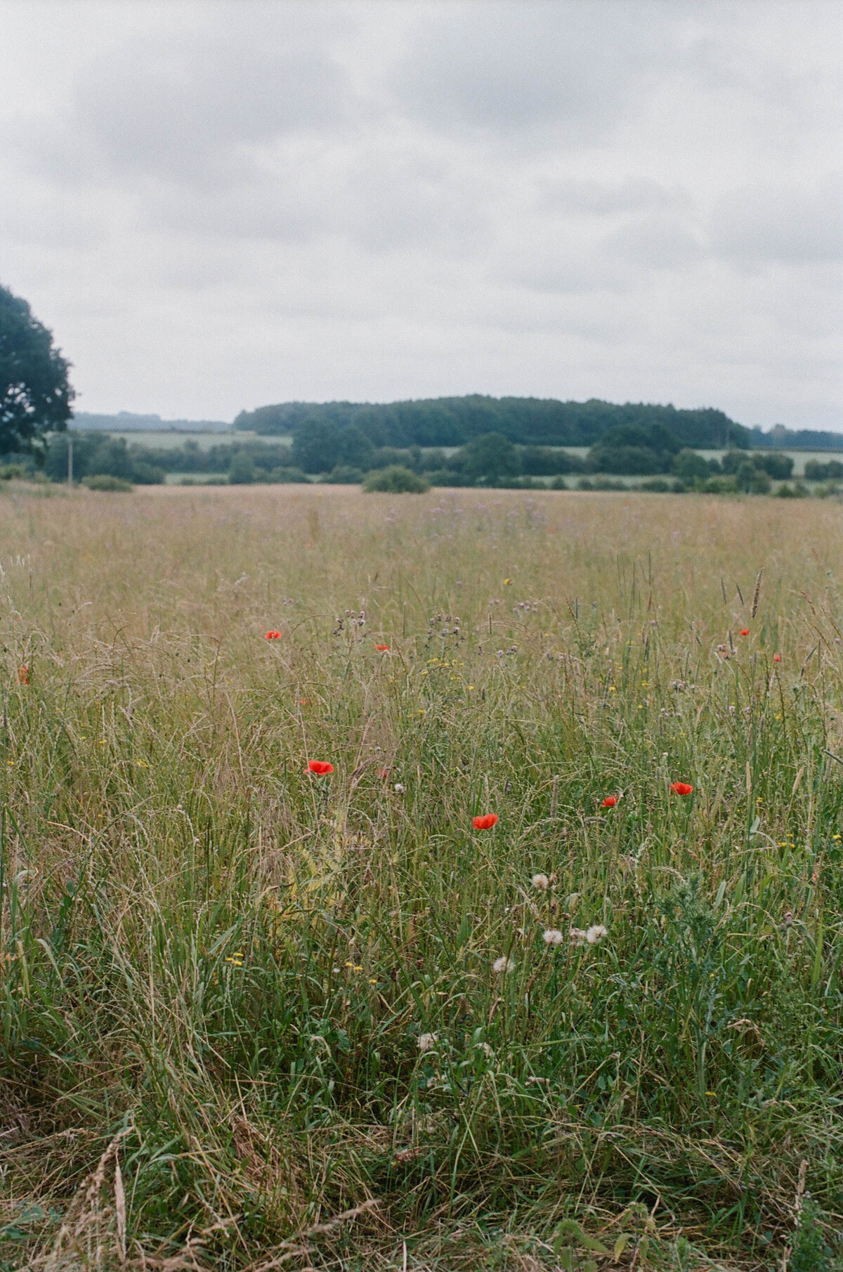 cotswolds-film-wedding-photographer-destination176