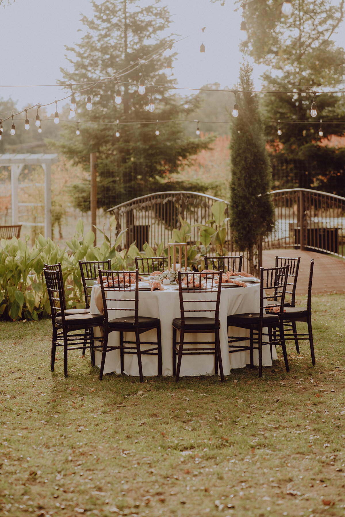 Rough & Ready Vineyards Wedding Details (2)