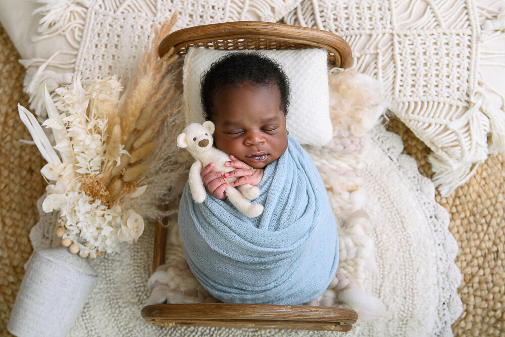 Black newborn baby boy wrapped in blue holding a tiny teddy for her Hamilton, newborn photography session.