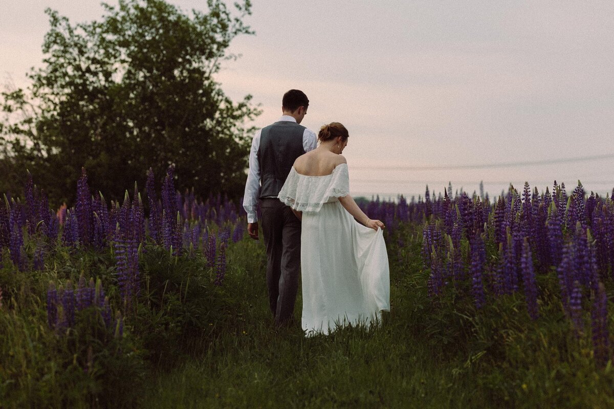 Viewing Lupines in Maine