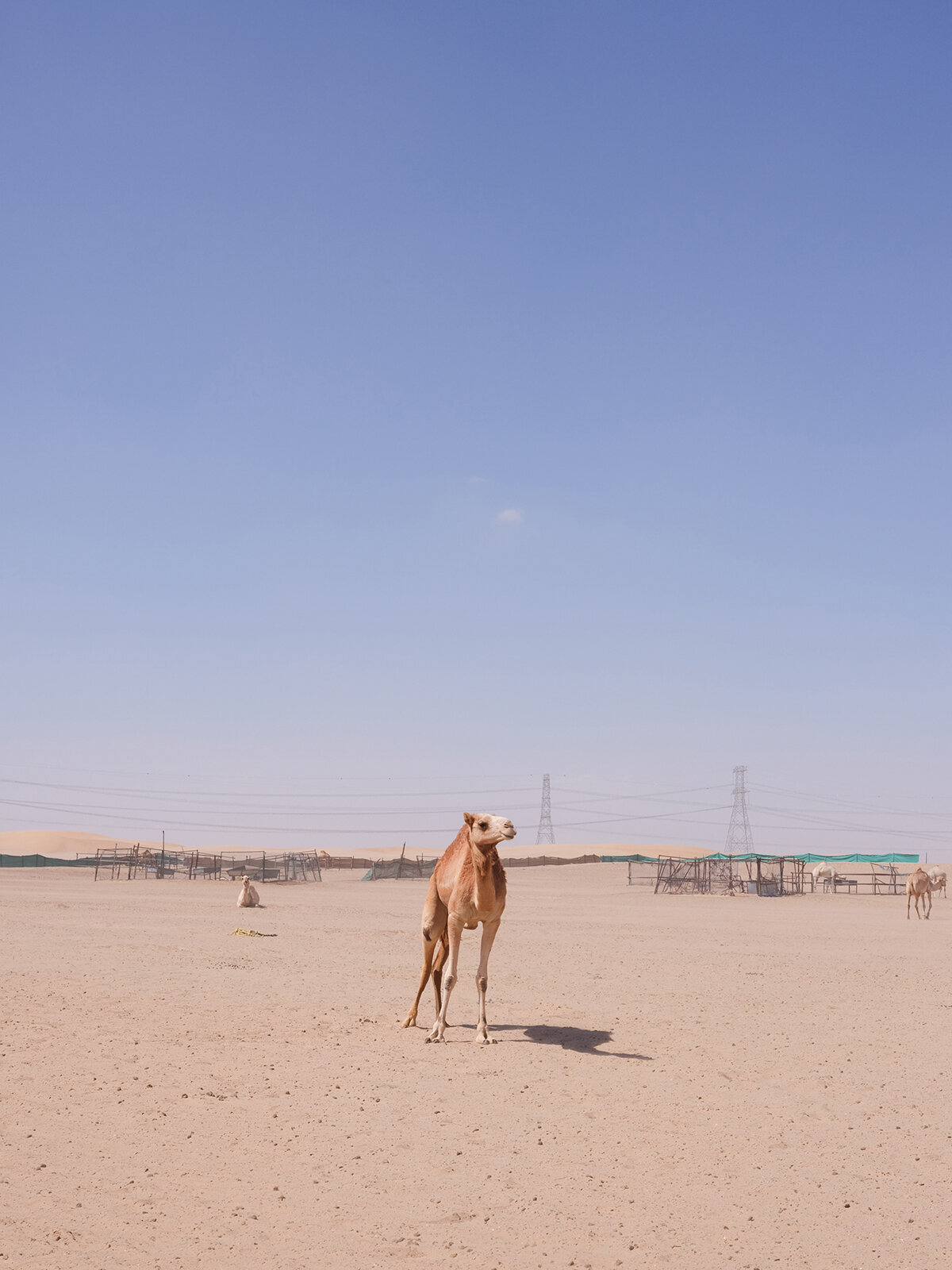 Michelle Norwood Living - Luxury Travel Inspiration - Dubai - elisabricker-5268