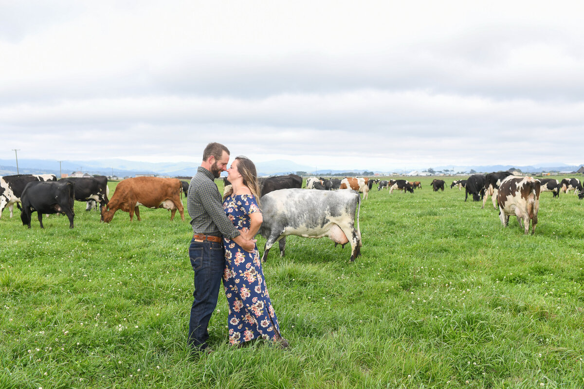 Redway-California-engagement-photographer-Parky's-Pics-Photography-Humboldt-County-Ferndale-Dairy-Farm-Cows-Engagement-3.jpg