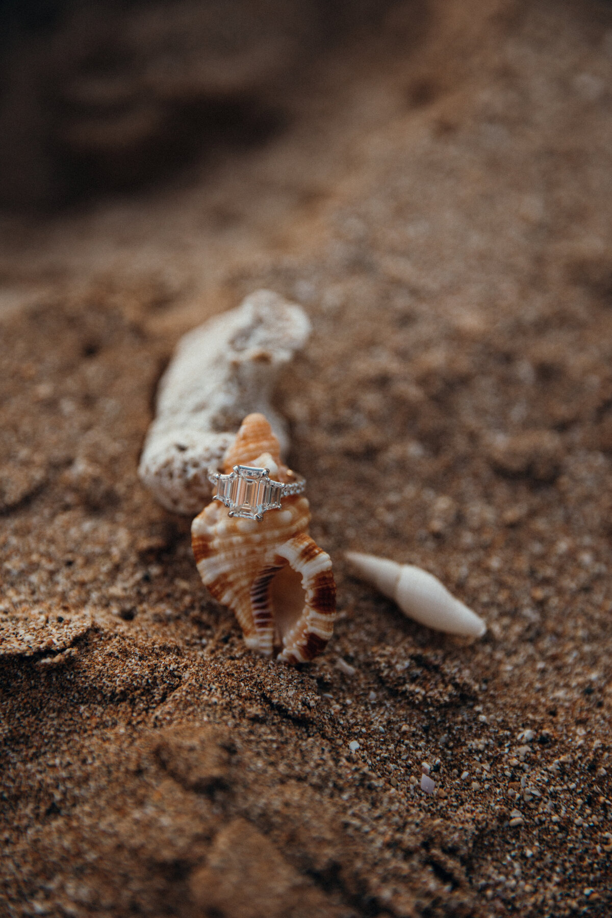 Hawaii Engagement Photographer captures close up of sand and seashells
