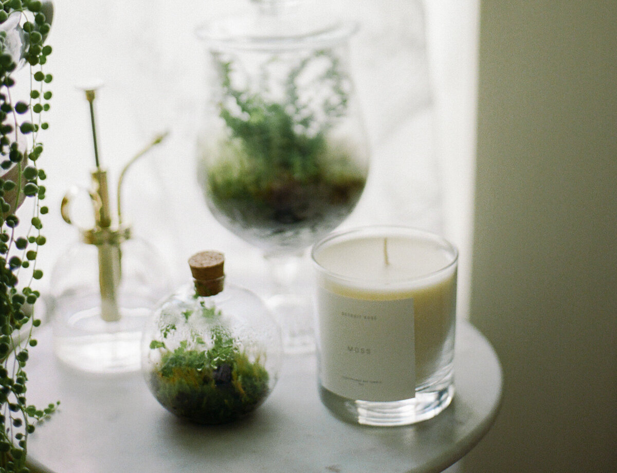 Detroit Rose Moss candle among terrariums, plants, interior details, candle film branding photo