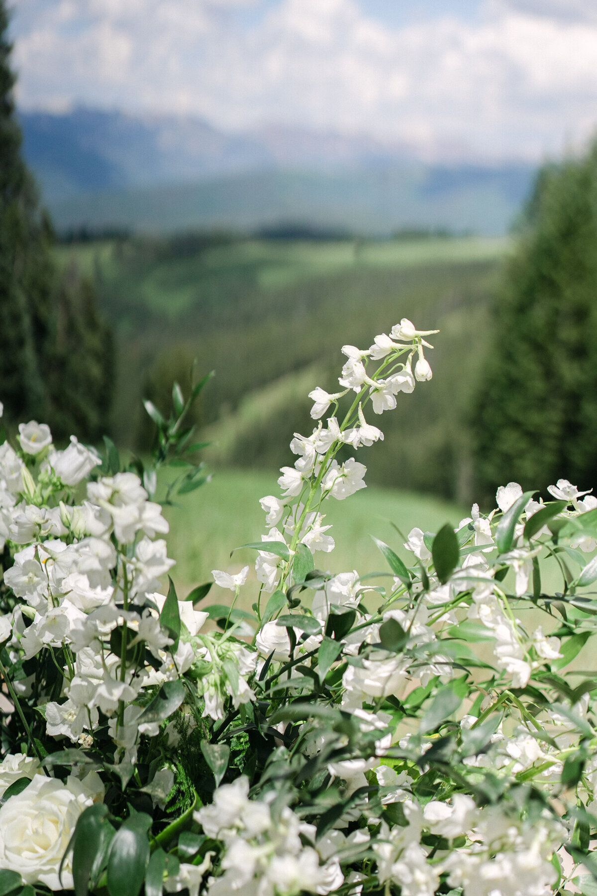 BeaverCreekWeddingDeck_0084
