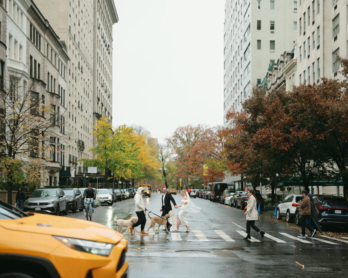 central park elopement new york city