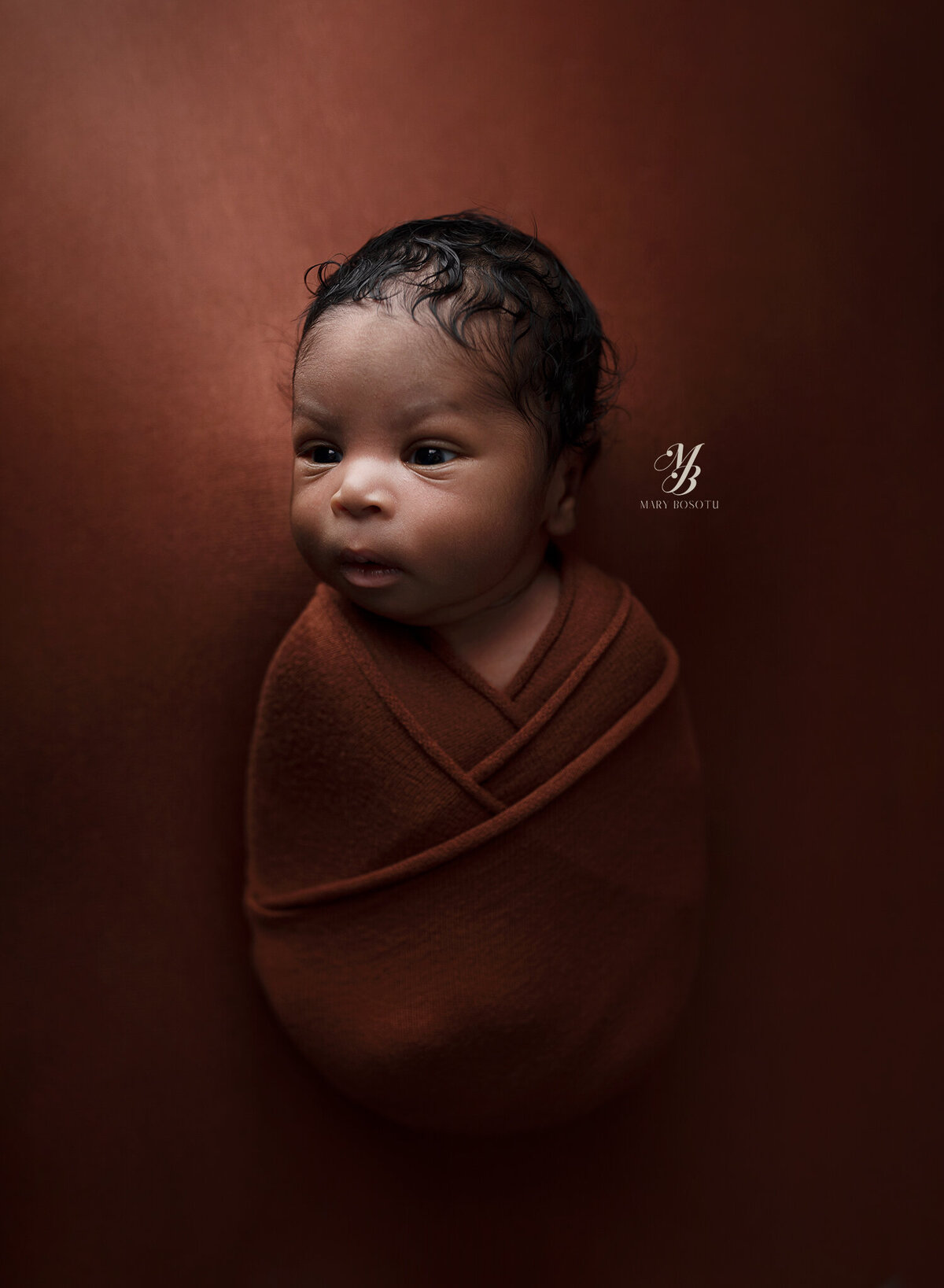 best Maryland newborn photographer, Baltimore newborn photographer, newborn photography near me, newborn portraits Crofton MD, professional baby photos