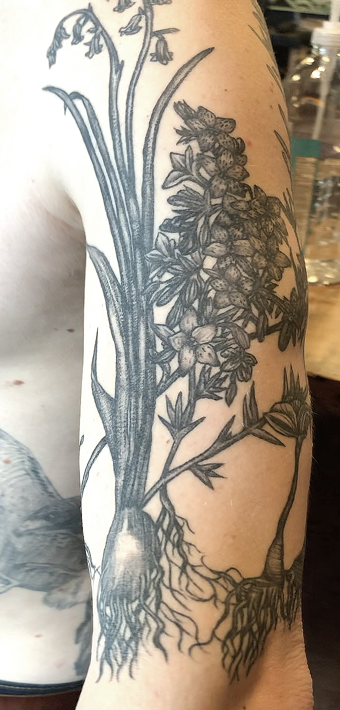 CCC_Botanical sleeve_2