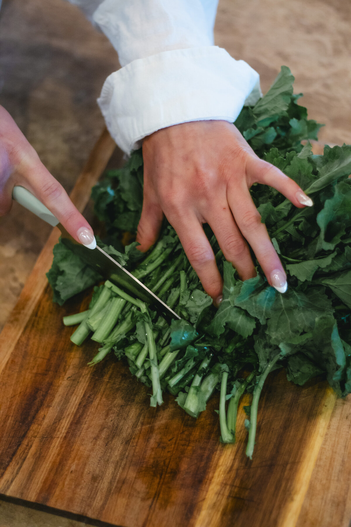 BreeNorthBuisnessShoot_meghanfreilermedia_27