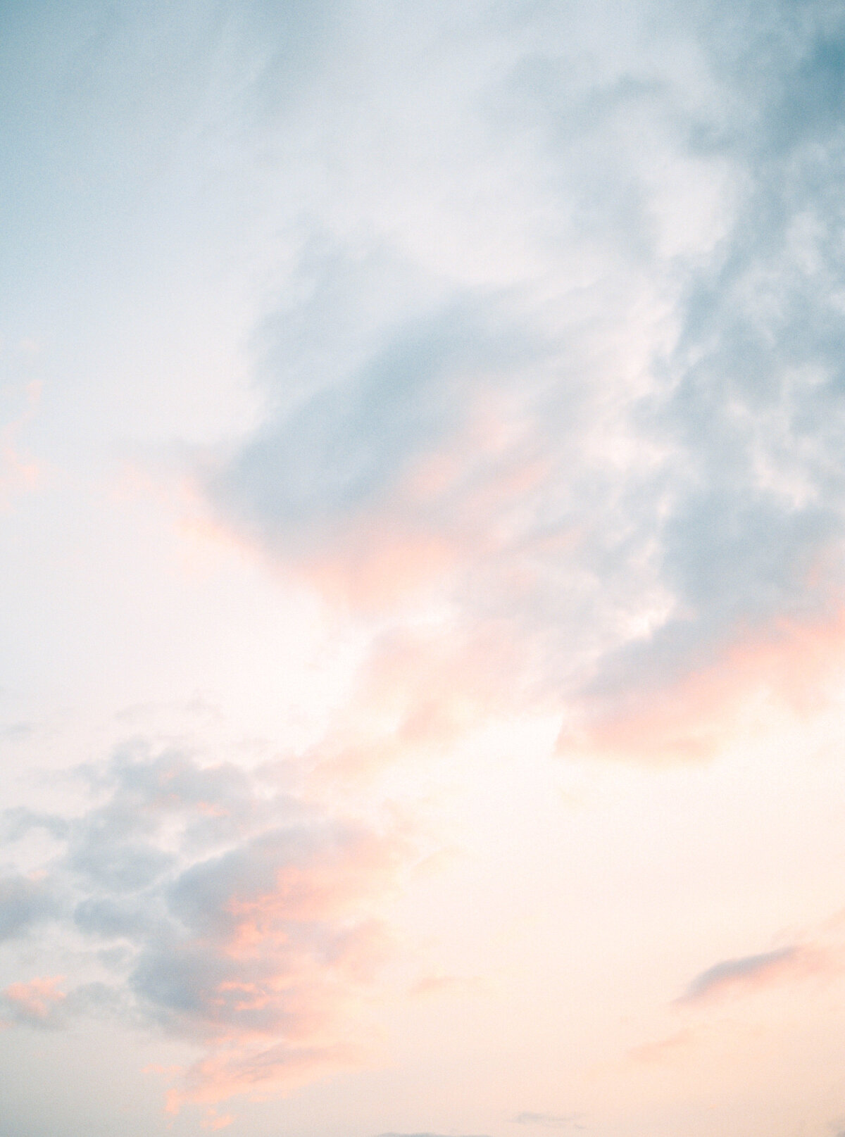 Film photograph of a pink vanilla sky photographed by Italy wedding photographer at Villa Montanare Tuscany wedding