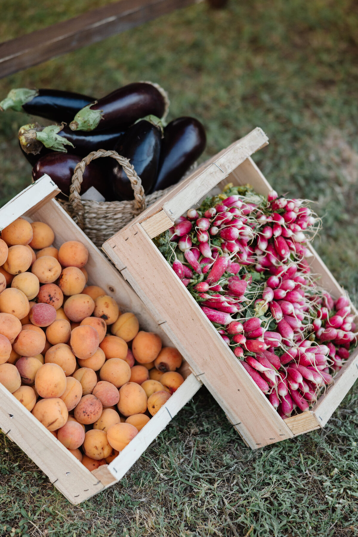 Vegetables-baskets-decor