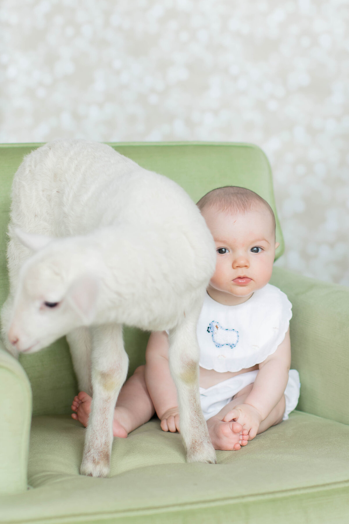 Lamb2022_RAWImages-18