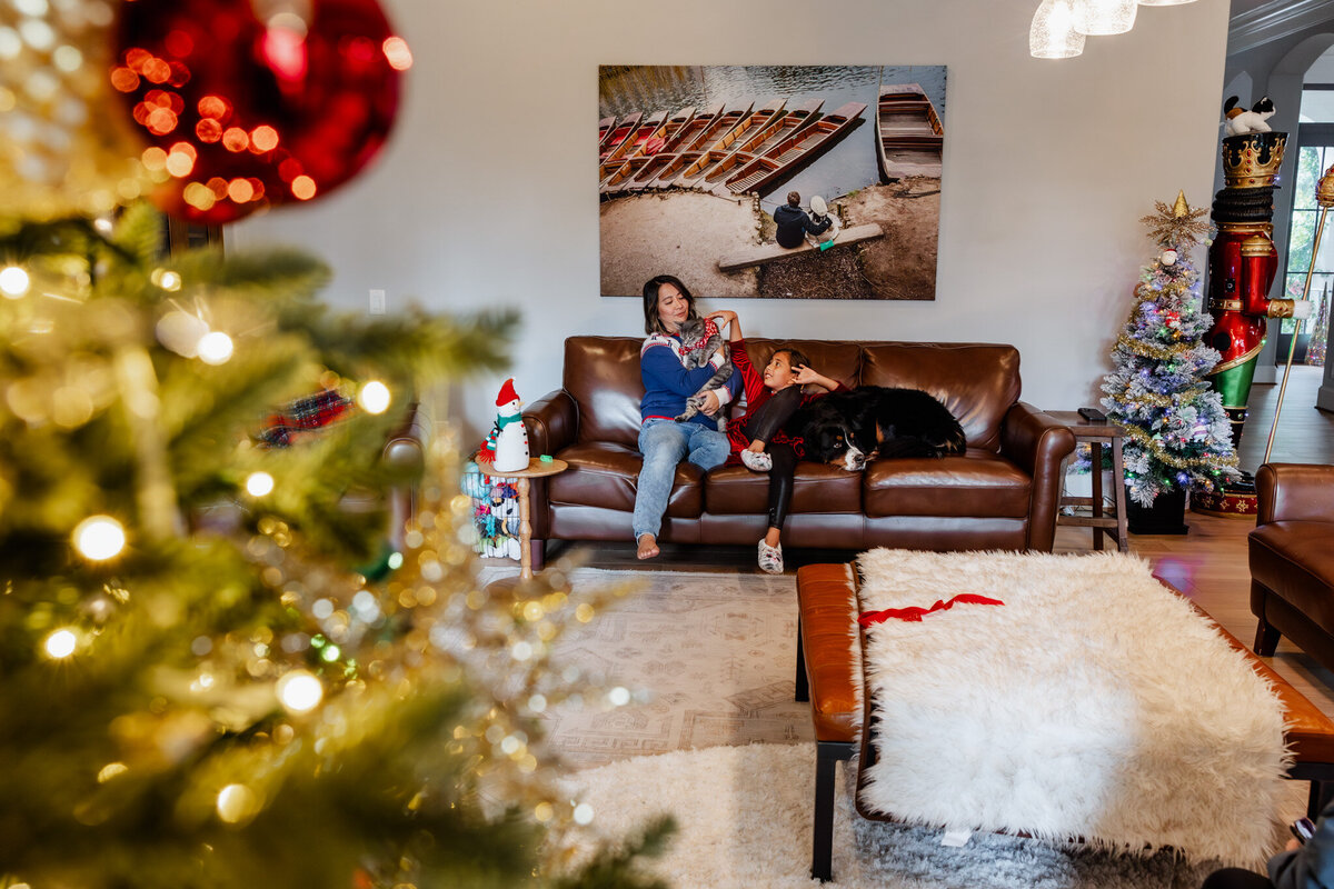 houston-christmas-mini-sessions-2024_177