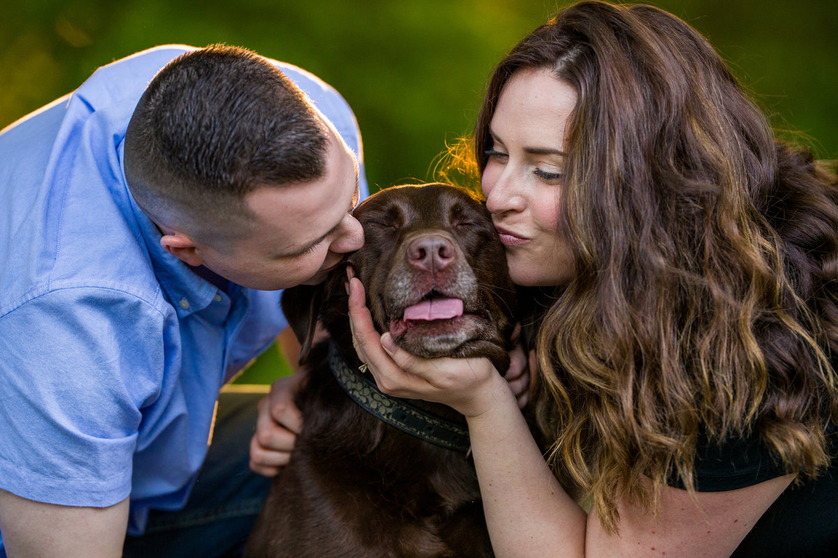 Chocolate Lab gets kiss from mom and dad at engagement session