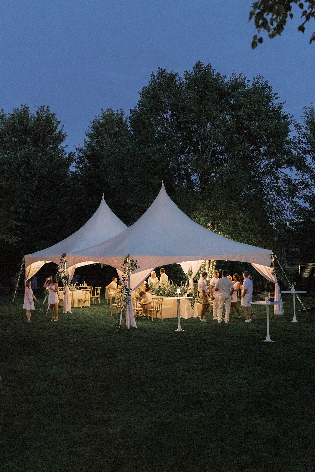 candaengagementparty-701_websize