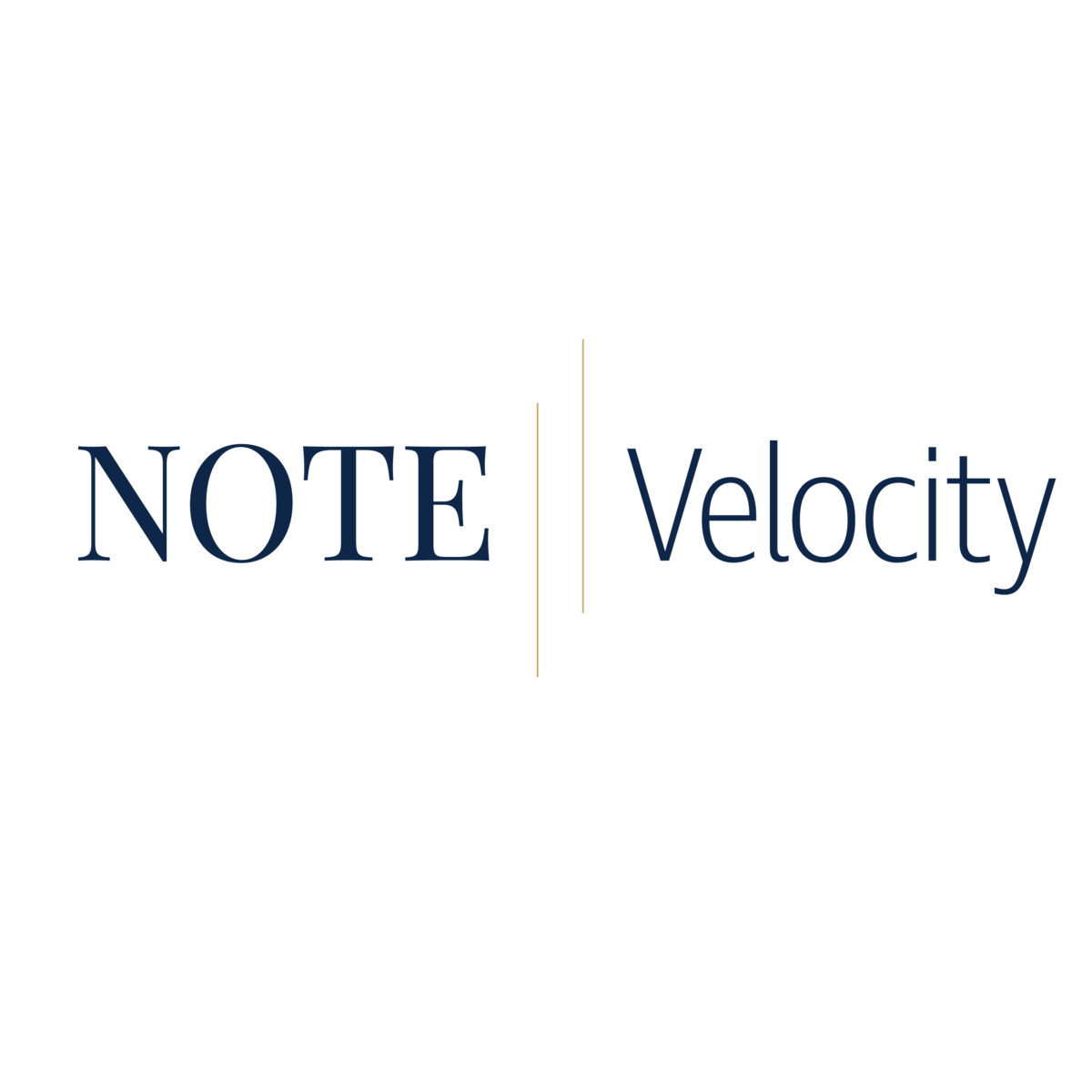 note velocity branding_primary logo