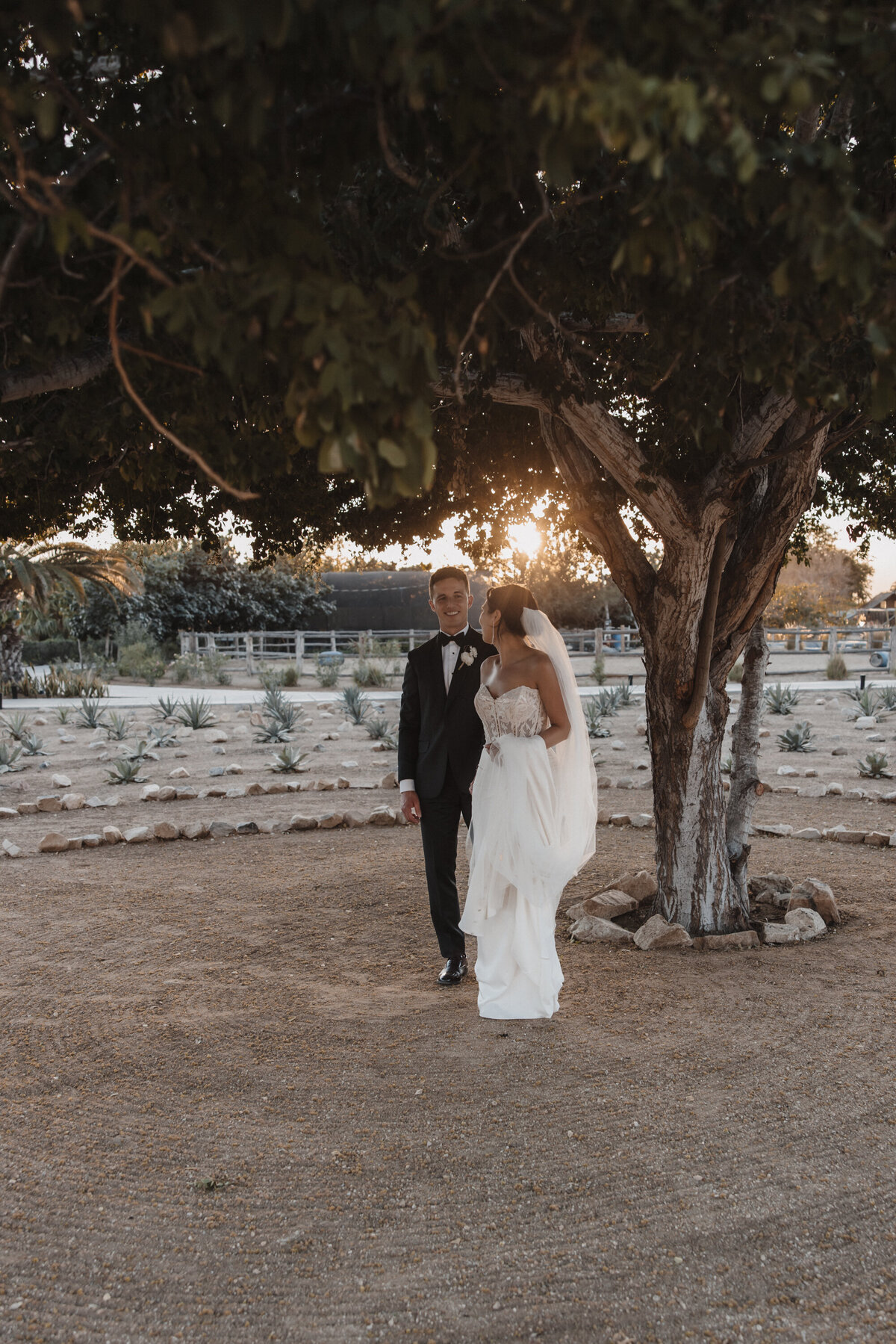 Cabo-Wedding-Planners-309