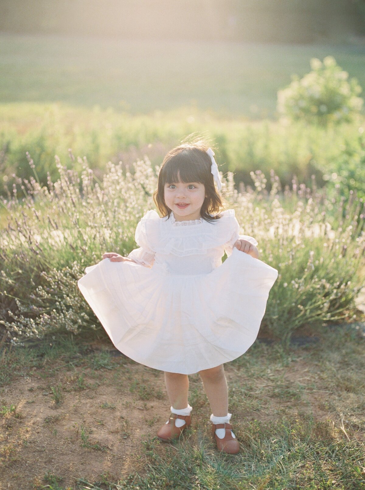 lavender field family photographer northern virginia