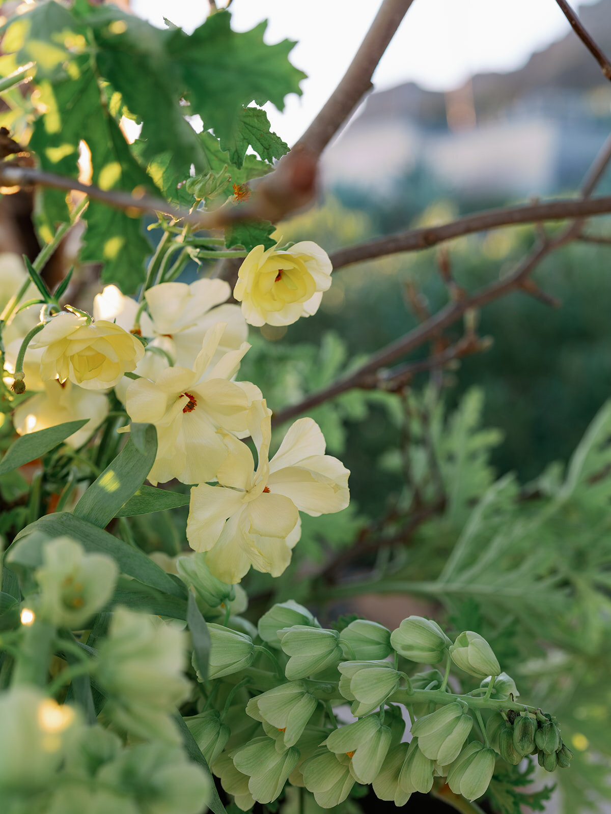 Agave House Editorial-Liz Andolina-371_websize